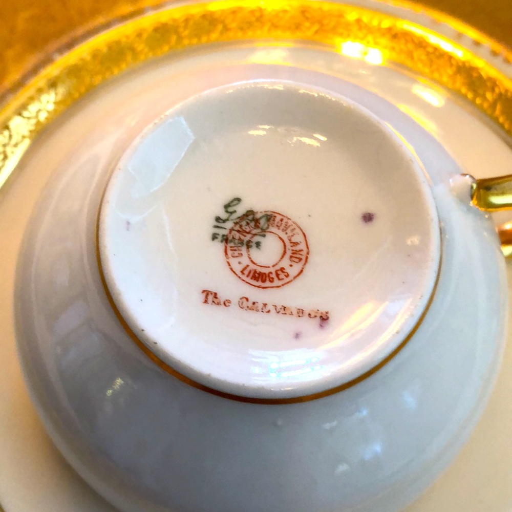 EUC- Nearly Pristine & Rare GDA France Haviland Limoges Calvados Teacup & Saucer - Picture 8 of 14